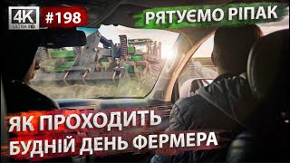 Будні фермера. Огляд полів з ріпаком. Інсайти Миколи Монашка