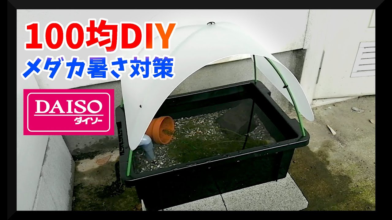 メダカ飼育容器 Nvボックスに日よけの屋根を100均でdiy 屋外ビオトープ Youtube