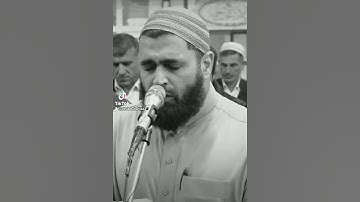 ماتيسر من سورة البقرة..مقام البياتي