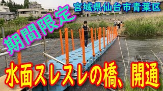 【開通】川スレスレの人道橋（仙台市）