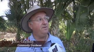 McAllen Community Garden (Vida Verde 2013)