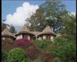 Tanzania safari serena mountain village arusha with tanzania odyssey