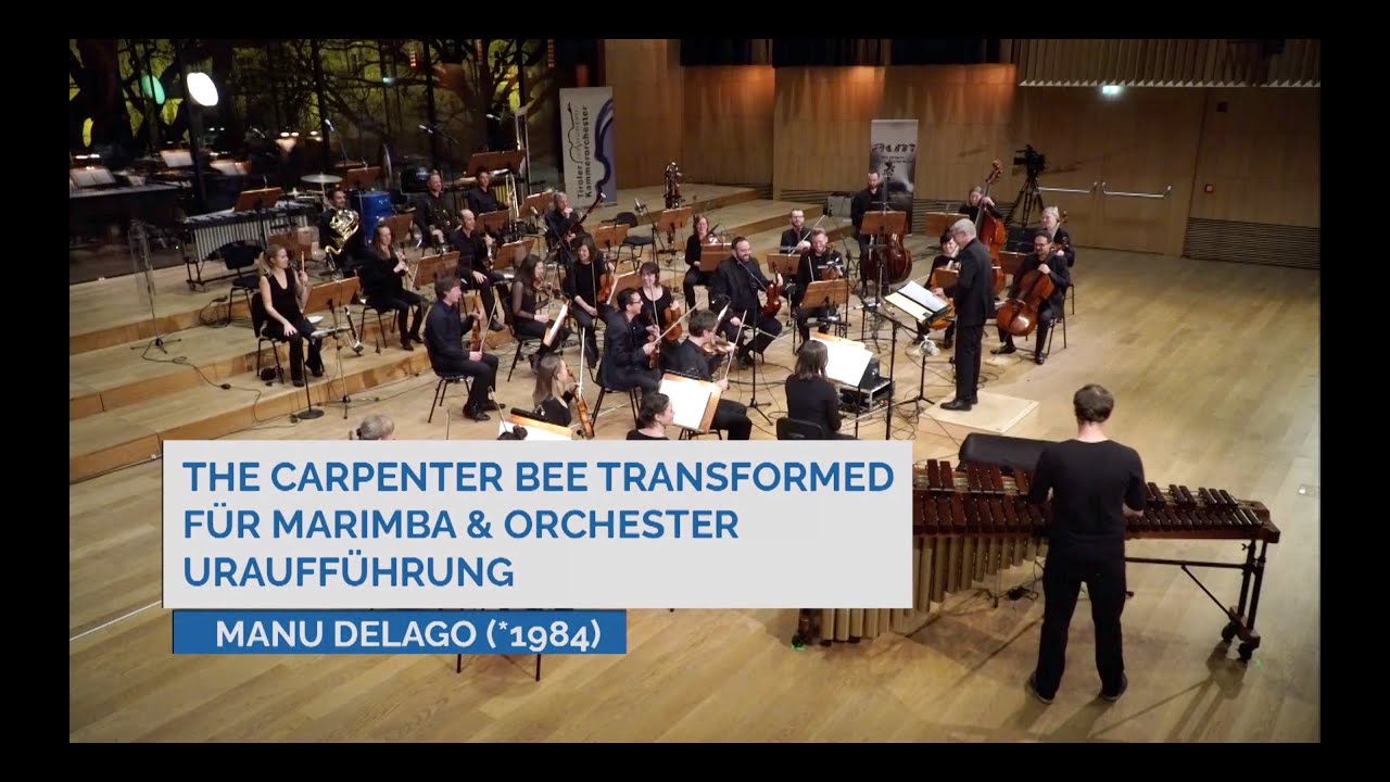 The Carpenter Bee transformed (excerpts)