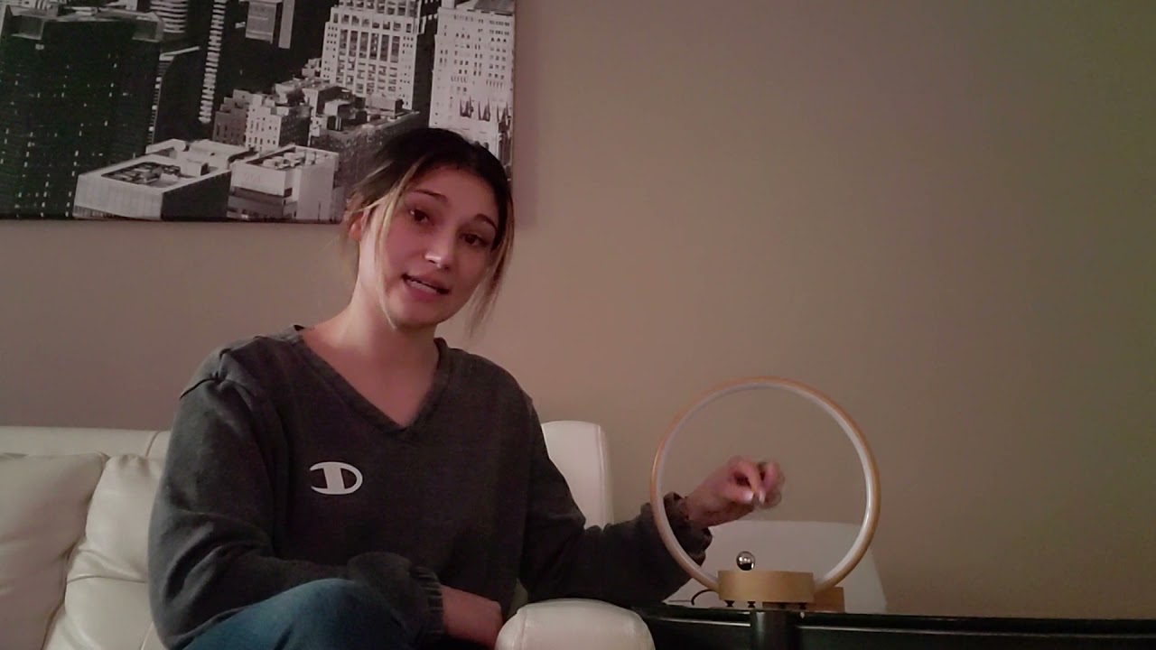 Kickstarter backers review about pets vs Circlo