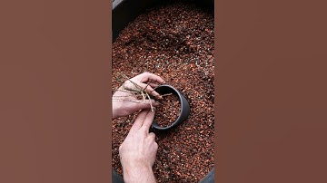 Mixing Good Bonsai Substrate