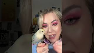 Prince hiding #birdvideo #lovebird #trending #tiktokvideo #birds #funnyanimals #funnypets #animals