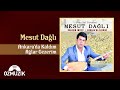 Mesut Dağlı Ankara Da Kaldım Ağlar Gezerim Official Audio