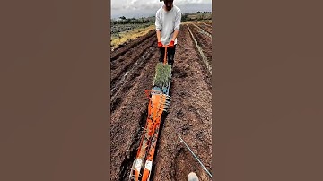 Rice Seedling Planter Work Tool for Efficient Paddy Field Farming