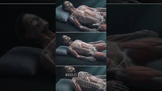 Why Your Sleeping Position May Matter More Than You Think