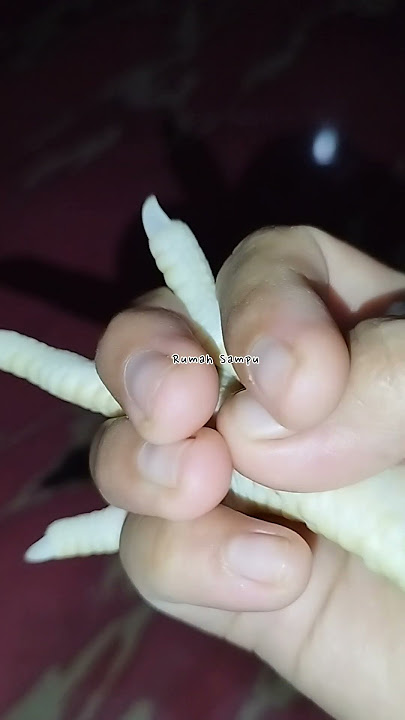 BEGINI JADINYA TANGAN LAMA TIDAK DI GENGGAM #youtubeshorts #viral #shorts