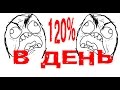 Шок! Звёздина обещают убить! Инвестиционный фонд 120% в день.