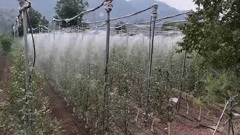 Drip irrigation system With Foger  Netafim