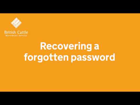 Recovering a forgotten password