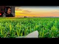 Markiplier watches “corn” by Charlie Slimecycle | Watching funny videos Livestream