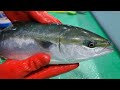 [방어 손질의 교과서!] 방어 손질은 이영상 시청으로 끝입니다!! Korean food - Yellowtail Amberjack perfect Sashimi! [수아아빠TV]