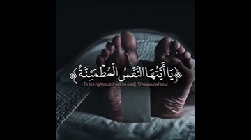 القارئ الشيخ د.#ماهر_المعيقلي_سورة_الفجر اكتب شئ تؤجر عليه