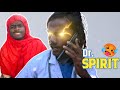Dr. Spirit | Dehatiz 5