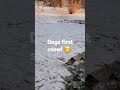 First snow...Yay!