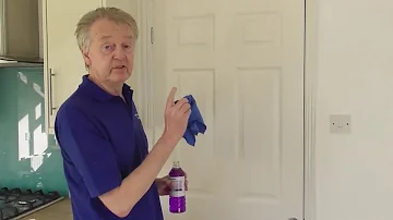 Will paint adhere to shellac?