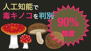 人工知能で毒キノコを判別しよう - #2 ニューラルネットワークとは
