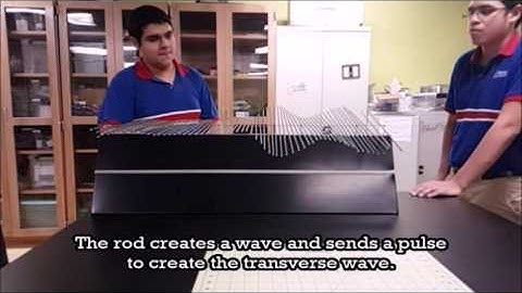 PBL Transverse Wave Demonstration Action Video