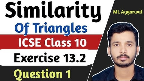 ICSE Class 10 Similarity | Chapter 13 Exercise 13.2 | M L Aggarwal ICSE Class 10 | Question 1