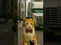 A Cat's Isekai Journey Begins… After One Fatal Crash 😼🚚🌌