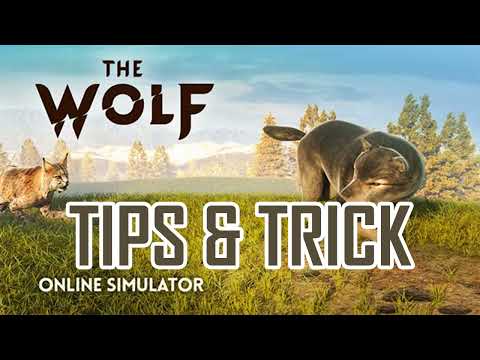How To Hack The Wolf Online Simulator In 2023 ▼ Wolf Rpg Simulator 2023 Hack 🤩✨