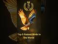 Top 5 Fastest Birds in the World#birds #fastest #world #viral
