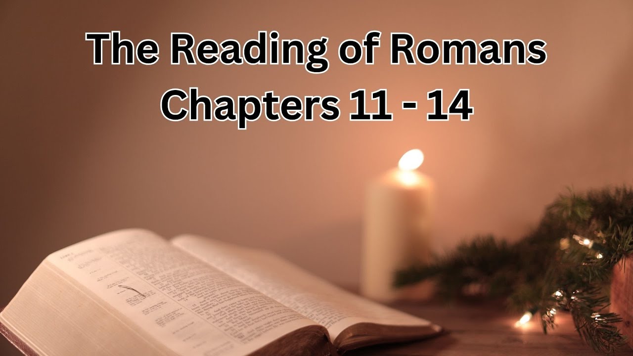 The Bible Reading of Romans Chapters 11 - 14 (KJV) #biblestudy # ...