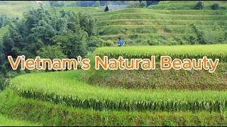 Exploring The Ultimate Vietnam Natural Beauty