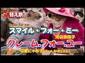 【替え歌】スマイル・フォー・ミー/河合奈保子😼クレーム・フォー・ユー😻色んなクレーム集めてみました