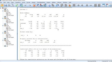 Moderation Test with PROCESS - Model 1