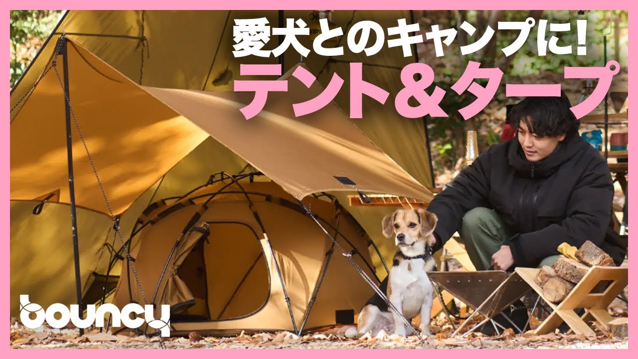 犬キャンがすごくはかどるテント＆タープ「KAMIKURA」「KOGURE」 - YouTube