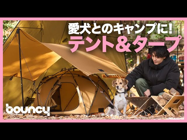 犬キャンがすごくはかどるテント＆タープ「KAMIKURA」「KOGURE」 - YouTube