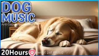 20 Hours of Calming music for dogs with anxiety💖🐶Relaxing music for dogs and humans