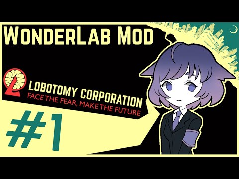 完全未開封】WONDER LAB - Lobotomy Corporation hqdefault.jpg?v=623bf897