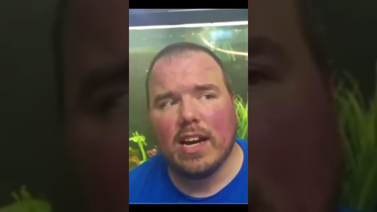 Burning out of the Hobby #fishtank