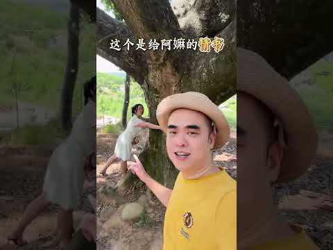 金灶的乌苏杨梅，拿来潮州能种吗 #三农 #杨梅