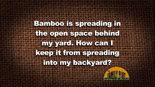 Q&A - How do I keep bamboo from spreading into my yard?