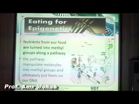 Epigenetics And Nephrology Dr Amr Mohab 