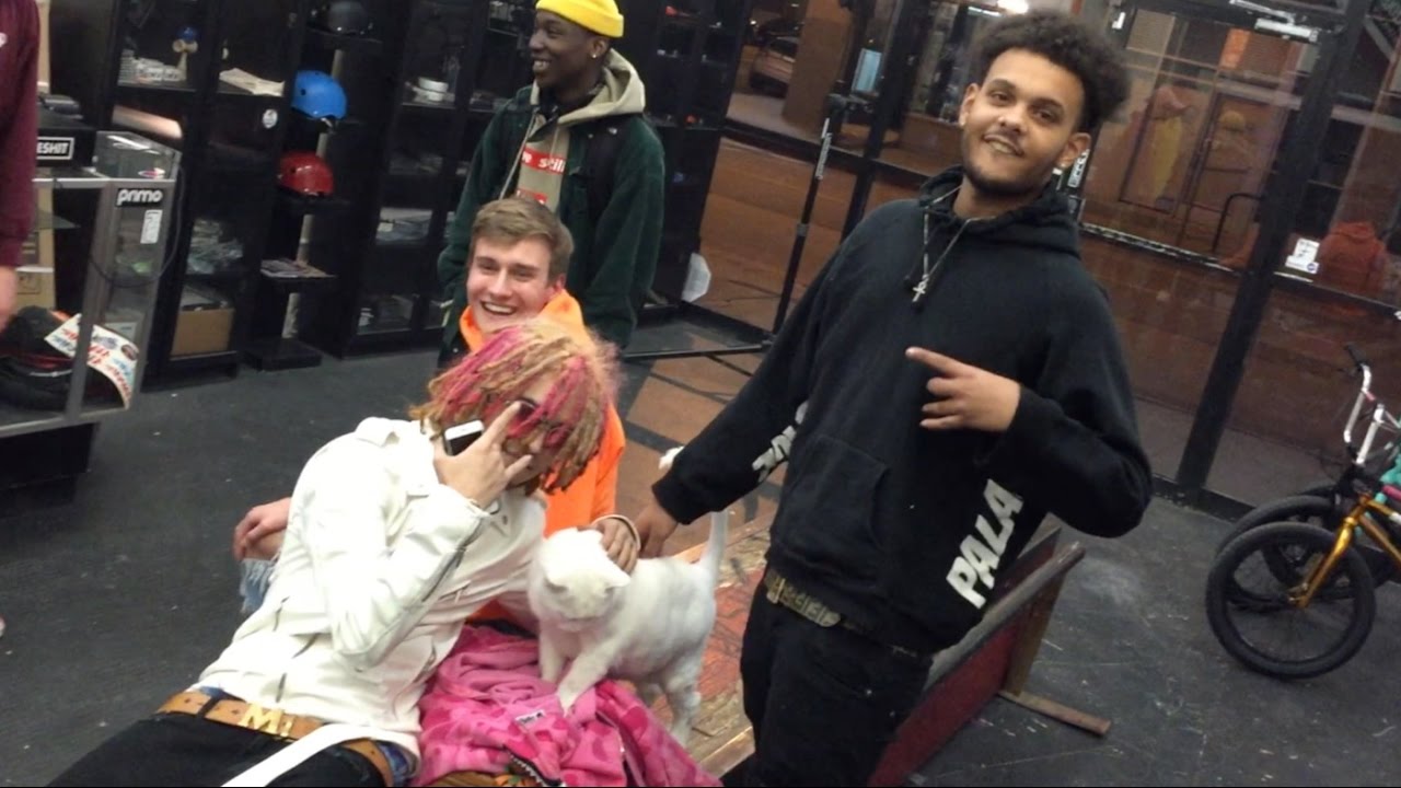 lil pump vlog lil pump and smokepurpp stole my cat freex youtube lil pump vlog lil pump and smokepurpp stole my cat freex youtube
