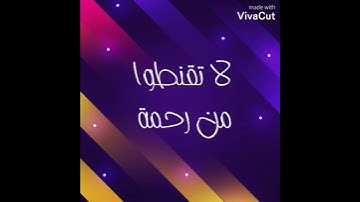 تلاوة جميلة بصوت القارئ أحمد وائل زكي