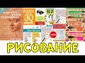 УРОКИ РИСОВАНИЯ: книги для начинающих / VERA PEK