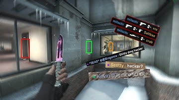 Cheat vs Cheat??? CSGO overwatch