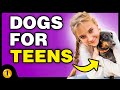 TOP 10 DOG BREEDS FOR TEENS