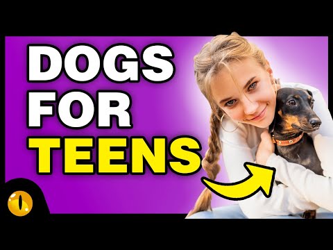 Video: 10 suņu šķirnes, kas ir koledžas talismans