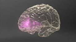 Meth Inside Out: Brain & Behavior - Triggers