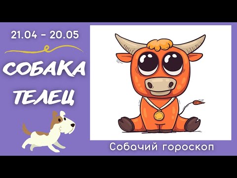 🐾🤩🪐 СОБАЧИЙ ГОРОСКОП: Собака - телец (юмор)