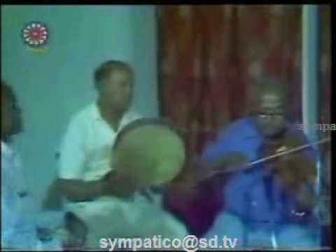 الموسيقار بدر التهامي عزف على الكمان 